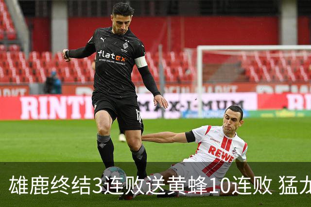 雄鹿终结3连败送黄蜂10连败 猛龙送火箭3连败
